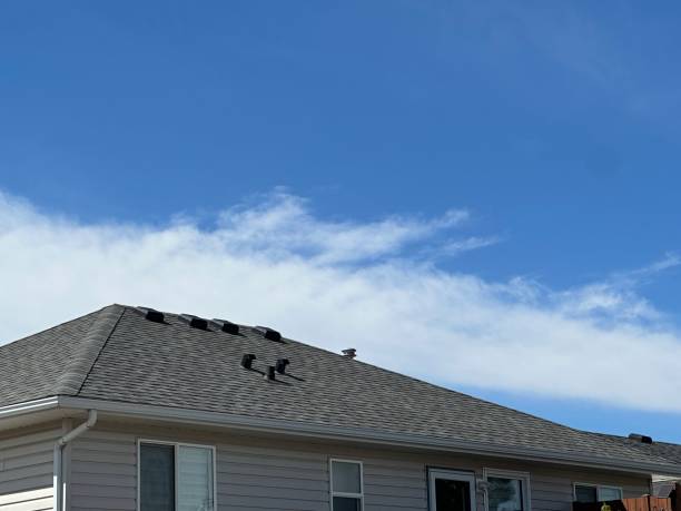 Best Solar Panel Roofing Installation  in Brice Prairie, WI